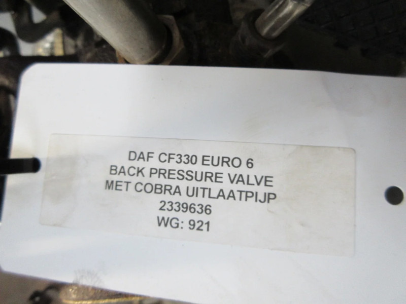 Κινητήρας και ανταλλακτικά για Φορτηγό DAF 2104973// 2256376 //2339636 COBRA PIJP DAF MX 11 EURO 6: φωτογραφία 6
