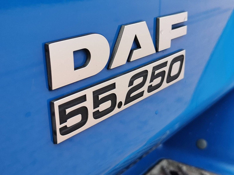 Φορτηγό μουσαμάς DAF LF 55.250 eev 11.9t airco lift: φωτογραφία 16