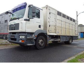 Φορτηγό μεταφορά ζώων MAN 15.280 LL TGM  Menke Einstock: φωτογραφία 1