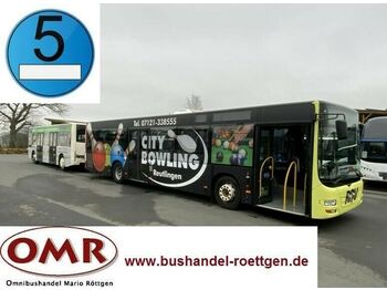 Αστικό λεωφορείο MAN A 21 Lions City + Goldhofer / Göppel hänger: φωτογραφία 1