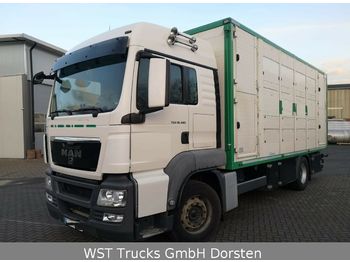 Φορτηγό μεταφορά ζώων MAN TGX 18.480 LX Menke 2 Stock Vollalu: φωτογραφία 1