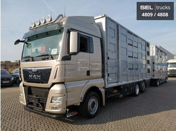 Φορτηγό μεταφορά ζώων MAN TGX 26.440/3 Stock /Lenkachse/Intarder /Komplett: φωτογραφία 1