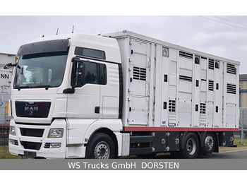 MAN TGX 26.440 FG 6x2  Menke Janzen 3 Stock  - Φορτηγό μεταφορά ζώων: φωτογραφία 1