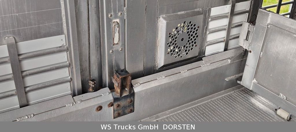 Φορτηγό μεταφορά ζώων MAN TGX 26.440 FG 6x2  Menke Janzen 3 Stock: φωτογραφία 24
