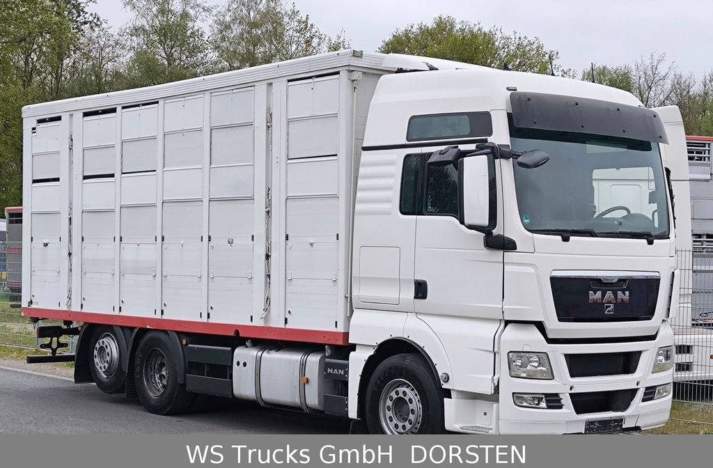 Φορτηγό μεταφορά ζώων MAN TGX 26.440 FG 6x2  Menke Janzen 3 Stock: φωτογραφία 2