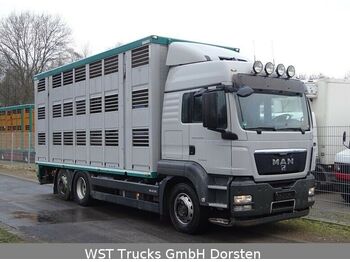 Φορτηγό μεταφορά ζώων MAN TGX 26.440 LXL Menke   3 Stock Vollalu: φωτογραφία 1