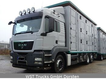 Φορτηγό μεταφορά ζώων MAN TGX 26.440 LXL Menke   3 Stock Vollalu: φωτογραφία 1