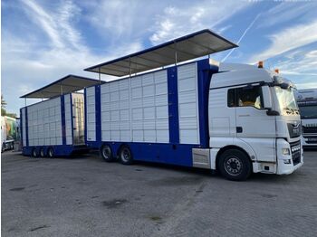 Φορτηγό μεταφορά ζώων MAN TGX 26.480 6X2 EURO 6 - LIVESTOCK + MOVING FLOOR: φωτογραφία 1