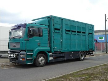 Φορτηγό μεταφορά ζώων MAN TG-A 18.310 FG  / LL: φωτογραφία 1