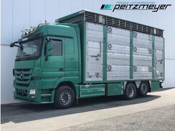 Φορτηγό μεταφορά ζώων MERCEDES-BENZ Actros 2544 LL Pezziaoli 3 Stock: φωτογραφία 1
