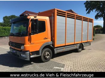 Φορτηγό μεταφορά ζώων για τη μεταφορά ζώων Mercedes-Benz 822 L  mit Eckstein Einstock: φωτογραφία 1