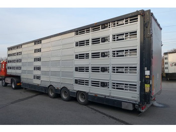 Επικαθήμενο μεταφορά ζώων Pezzaioli SBA32/G , 5 Stock , Viehtransporter  , Tränkeranlage,: φωτογραφία 2