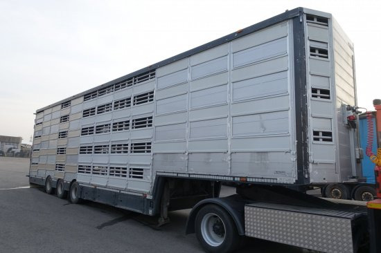 Επικαθήμενο μεταφορά ζώων Pezzaioli SBA32/G , 5 Stock , Viehtransporter  , Tränkeranlage,: φωτογραφία 5