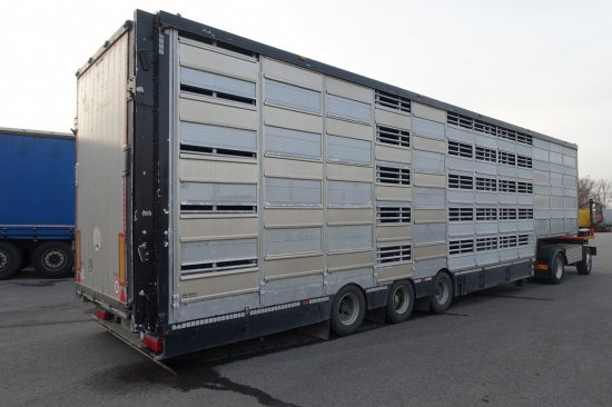 Επικαθήμενο μεταφορά ζώων Pezzaioli SBA32/G , 5 Stock , Viehtransporter  , Tränkeranlage,: φωτογραφία 4