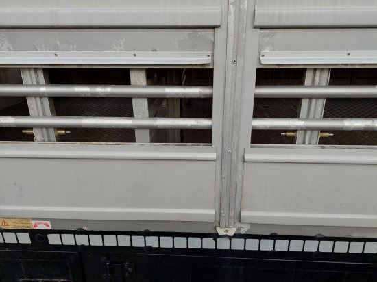Επικαθήμενο μεταφορά ζώων Pezzaioli SBA32/G , 5 Stock , Viehtransporter  , Tränkeranlage,: φωτογραφία 12