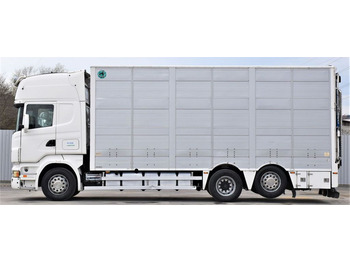 Φορτηγό μεταφορά ζώων Scania R 500 TIERTRANSPORTWAGEN 7,10m / 4STOCK: φωτογραφία 3