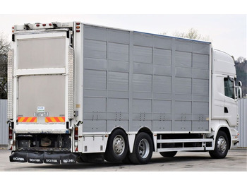 Φορτηγό μεταφορά ζώων Scania R 500 TIERTRANSPORTWAGEN 7,10m / 4STOCK: φωτογραφία 5