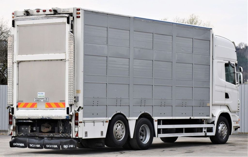 Φορτηγό μεταφορά ζώων Scania R 500 TIERTRANSPORTWAGEN 7,10m / 4STOCK: φωτογραφία 5