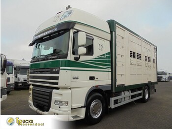 DAF XF 105.460 + Pig truck + Lift + Euro 5 + Discounted from 29.950,- - Φορτηγό μεταφοράς αλόγων