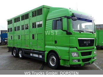 Φορτηγό μεταφορά ζώων MAN TGX 26.480