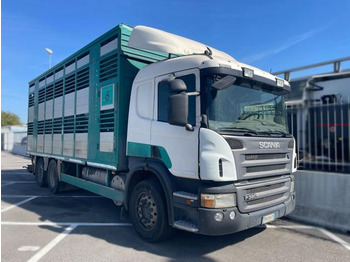 Φορτηγό μεταφορά ζώων SCANIA P 380