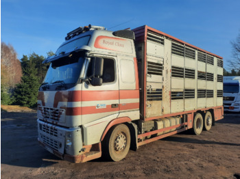 Φορτηγό μεταφορά ζώων VOLVO FH12