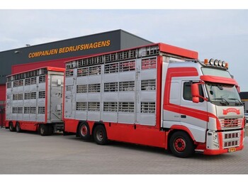 Φορτηγό μεταφορά ζώων Volvo FH 500 6X2: φωτογραφία 1