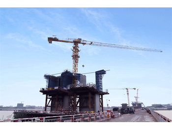 Νέα Πυργογερανός XCMG brand XGT7026-12S1 70m jcb length 12 ton stationary tower crane: φωτογραφία 1