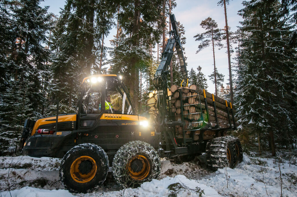 Tractoaredepadure.ro undefined: φωτογραφία 5