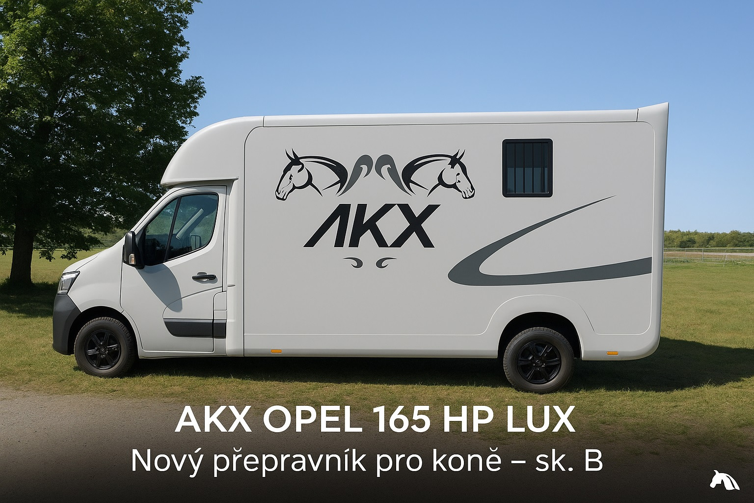 STX Horseboxes Czech rep. undefined: φωτογραφία 2
