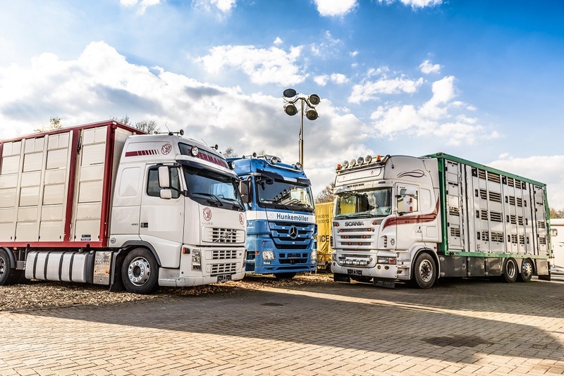 WS Trucks GmbH - Τρέιλερ - Έτος: 2011, 2-αξονική undefined: φωτογραφία 1
