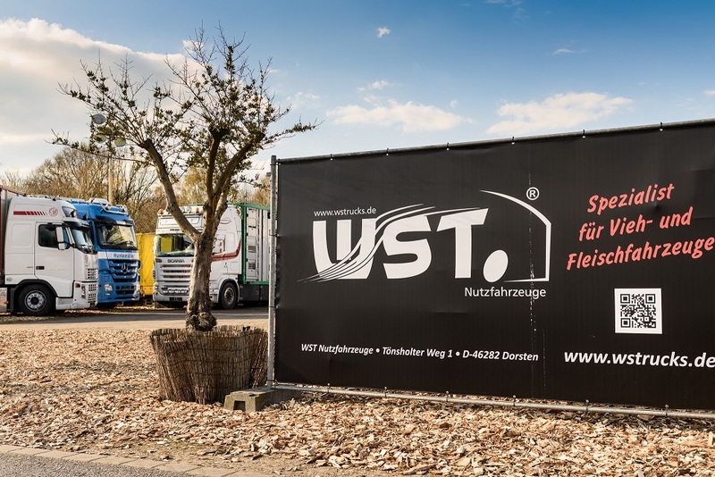 WS Trucks GmbH - Τρέιλερ - Έτος: 2011, 2-αξονική undefined: φωτογραφία 4