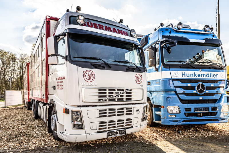 WS Trucks GmbH - Τρέιλερ - Έτος: 2011, 2-αξονική undefined: φωτογραφία 2