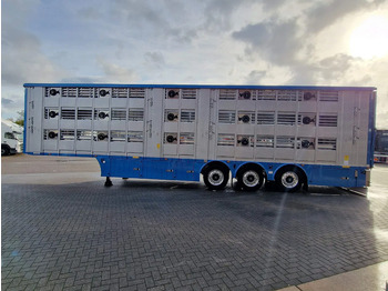 Μίσθωση Pezzaioli New 3 stock livestock trailer 95.4M2 - Water & Ventilation - Lifting floors - Lifting roof - Lift axle Pezzaioli New 3 stock livestock trailer 95.4M2 - Water & Ventilation - Lifting floors - Lifting roof - Lift axle: φωτογραφία 5 Μίσθωση Pezzaioli New 3 stock livestock trailer 95.4M2 - Water & Ventilation - Lifting floors - Lifting roof - Lift axle Pezzaioli New 3 stock livestock trailer 95.4M2 - Water & Ventilation - Lifting floors - Lifting roof - Lift axle: φωτογραφία 5