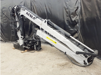 Γερανός παπαγάλος