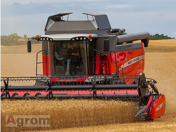 Θεριζοαλωνιστική μηχανή MASSEY FERGUSON