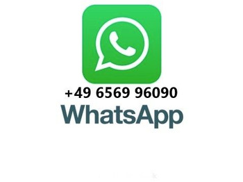 Μίσθωση Bunge TL 16 Z Spezial Tieflader 22 to Blattfederung Bunge TL 16 Z Spezial Tieflader 22 to Blattfederung: φωτογραφία 2 Μίσθωση Bunge TL 16 Z Spezial Tieflader 22 to Blattfederung Bunge TL 16 Z Spezial Tieflader 22 to Blattfederung: φωτογραφία 2