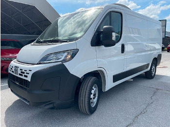 Μικρό βαν FIAT Ducato