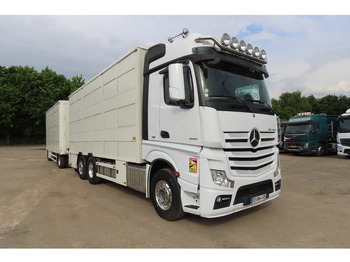 Φορτηγό μεταφορά ζώων MERCEDES-BENZ Actros 2551