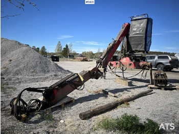 Γερανός παπαγάλος