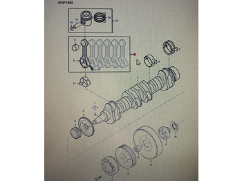 Μπιελών FENDT