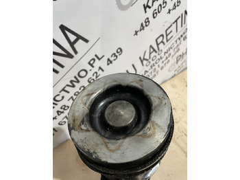 Μπιελών για Γεωργικά μηχανήματα Fendt 936 Deutz Agrotron Volvo D7E TCD2013L064V TCD2013L64V TCD2013 7,2L - tłok 04904808: φωτογραφία 4 Μπιελών για Γεωργικά μηχανήματα Fendt 936 Deutz Agrotron Volvo D7E TCD2013L064V TCD2013L64V TCD2013 7,2L - tłok 04904808: φωτογραφία 4