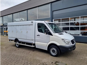 Επαγγελματικό αυτοκίνητο ψυγείο MERCEDES-BENZ Sprinter 310