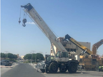Γερανός για ανώμαλο έδαφος TEREX