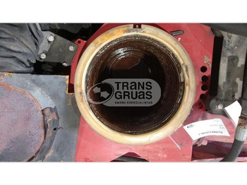 Γερανός παπαγάλος HMF