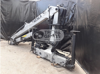 Γερανός παπαγάλος