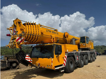 Γερανός παντός εδάφους LIEBHERR