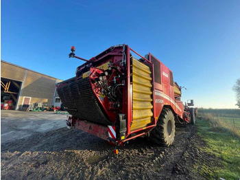 Μηχανή συγκομιδής Grimme VARITRON 470 RS VARIO: φωτογραφία 3
