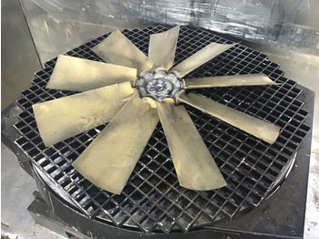 : φωτογραφία κεφαλίδας