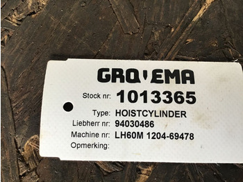 Υδραυλικός κύλινδρος Liebherr Cylinder: φωτογραφία 5
